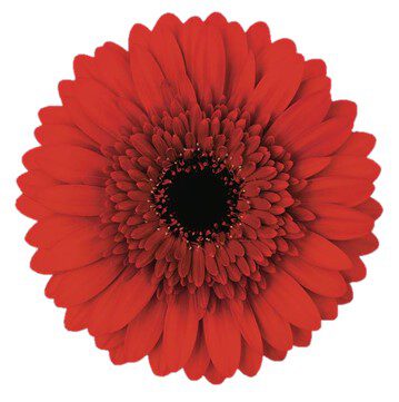 Stichting ZVCL – begeleide (zorg)vakanties